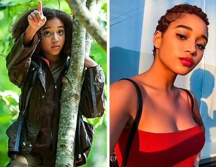 Os atores da trilogia Jogos Vorazes desde a estreia do filme Os atores da trilogia Jogos Vorazes