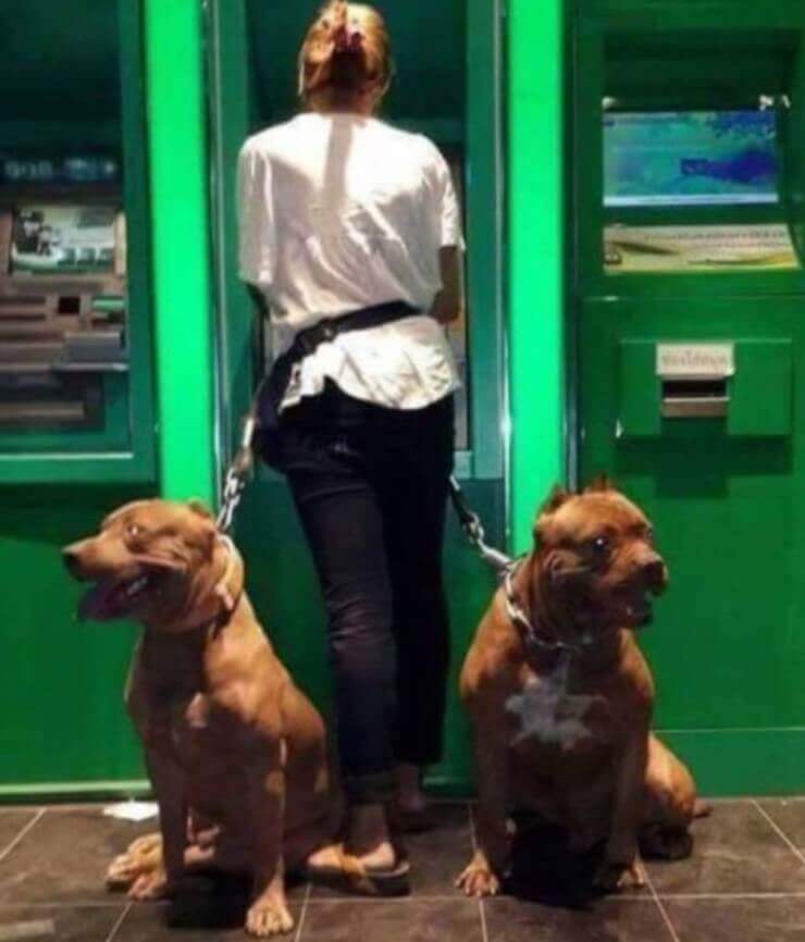 Coisas estranhas vistas em caixas eletrônicos