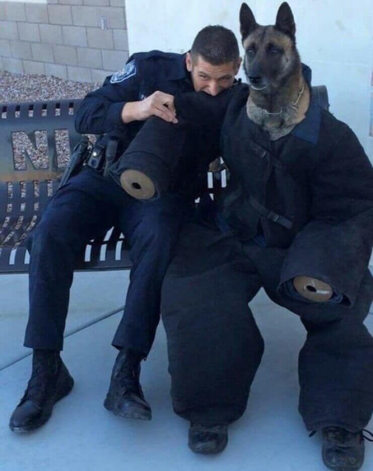 Fotos em que tudo está errado