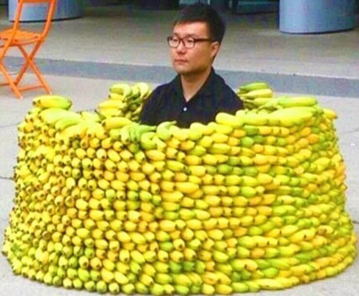 Fotos em que tudo está errado