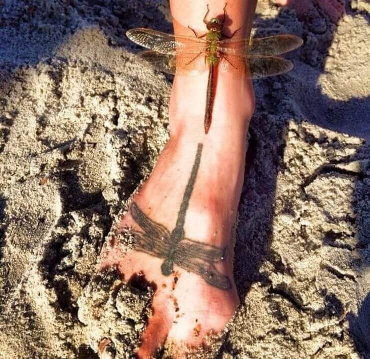 Fotos bizarras tiradas no momento certo