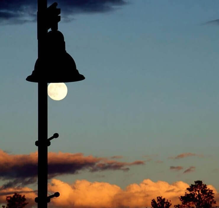 Fotos bizarras tiradas no momento certo