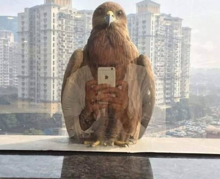 Fotos bizarras tiradas no momento certo