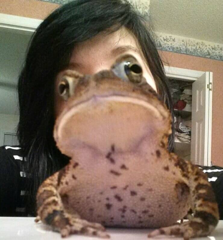 Fotos bizarras tiradas na hora certa