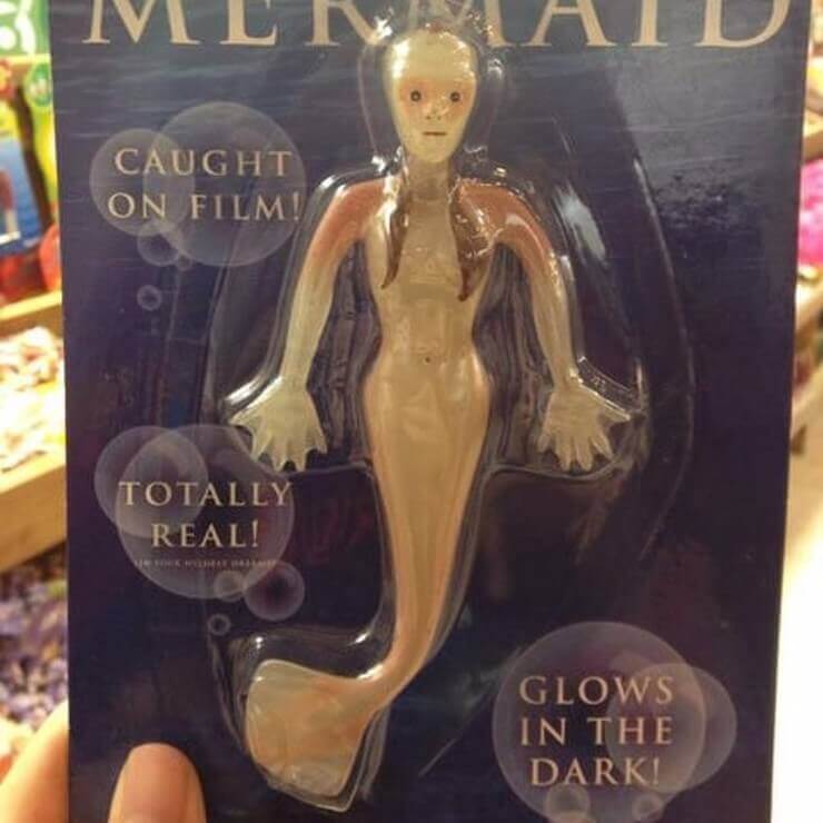 Coisas bizarras que já foram colocadas à venda