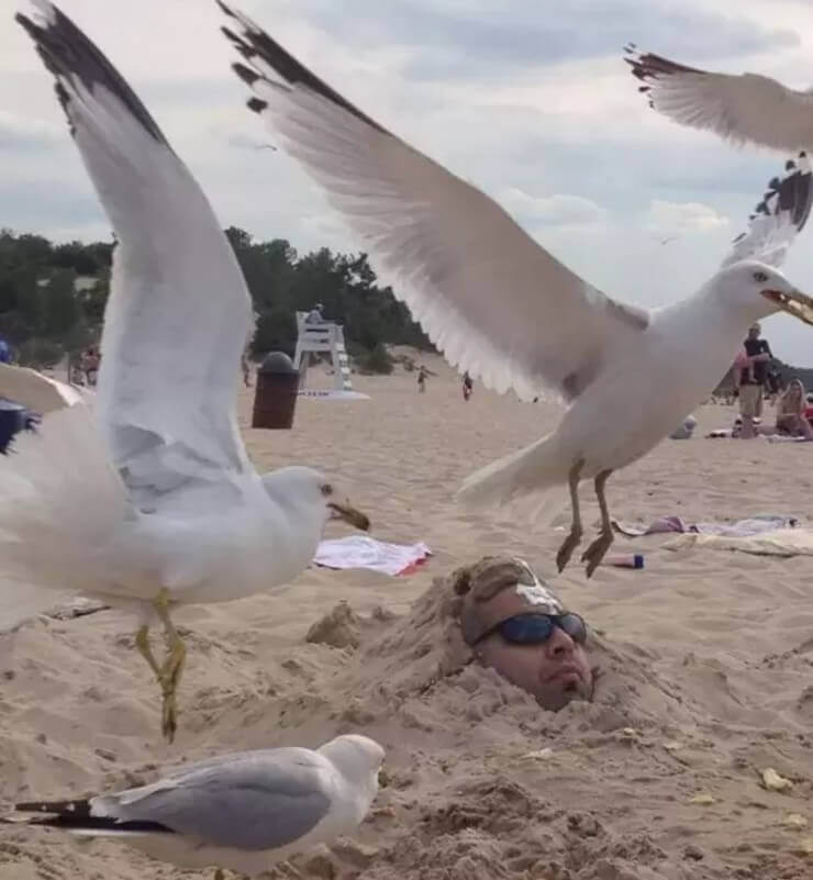  Pessoas que descobriram o significado de sorte no azar