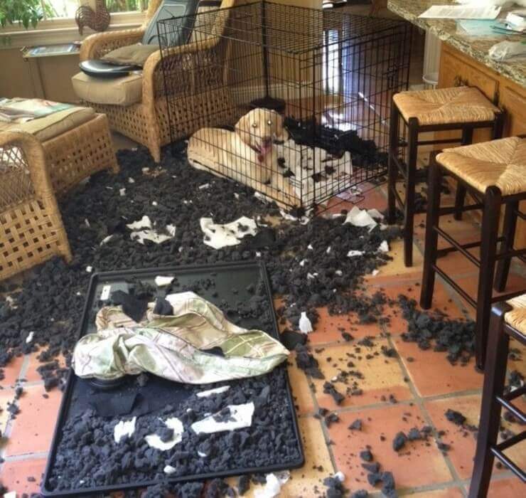  Pessoas que descobriram o significado de sorte no azar