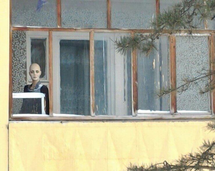 Fotos engraçadas que geram mais dúvidas do que respostas