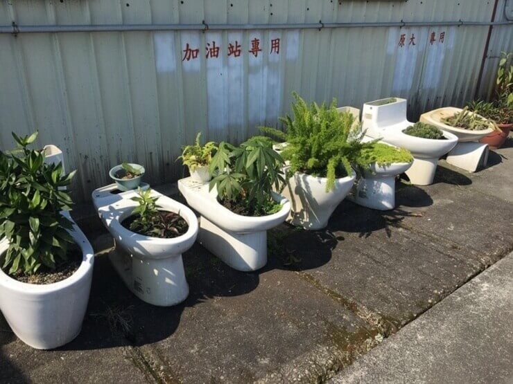 Fotos engraçadas que geram mais dúvidas do que respostas