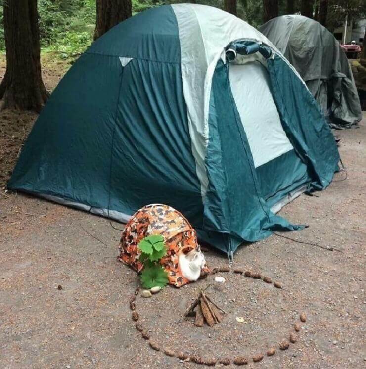 Fotos engraçadas que geram mais dúvidas do que respostas