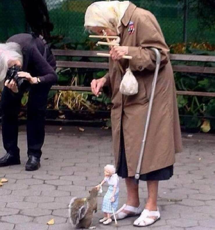 Fotos engraçadas que geram mais dúvidas do que respostas