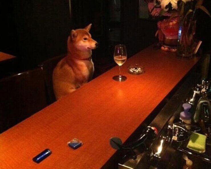 Imagens sem noção da internet que ninguém entende