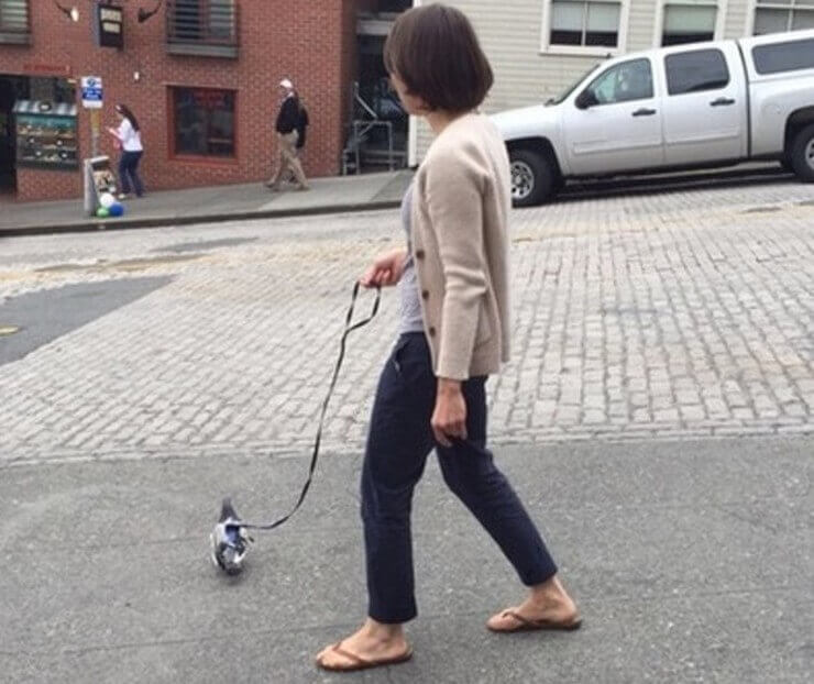 Fotos esquisitas da internet que você precisa olhar duas vezes para entender