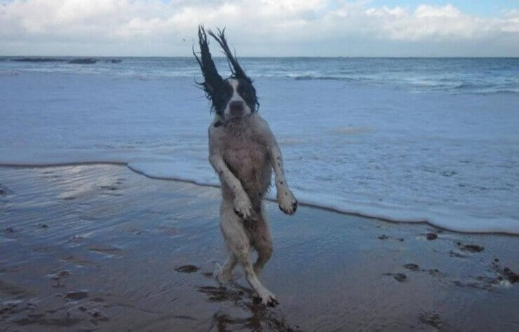 20 fotos engraçadas que você vai perguntar como é possível Fotos engraçadas tiradas no momento certo