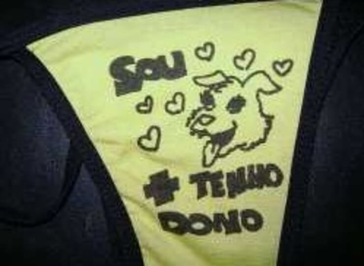 20 calcinhas com mensagens bizarras que merecem o Oscar Calcinhas com mensagens bizarras