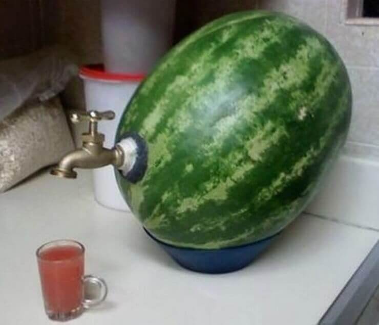 A prova de que a imaginação da humanidade não tem limites Invenções bizarras feitas pela a imaginação da humanidade