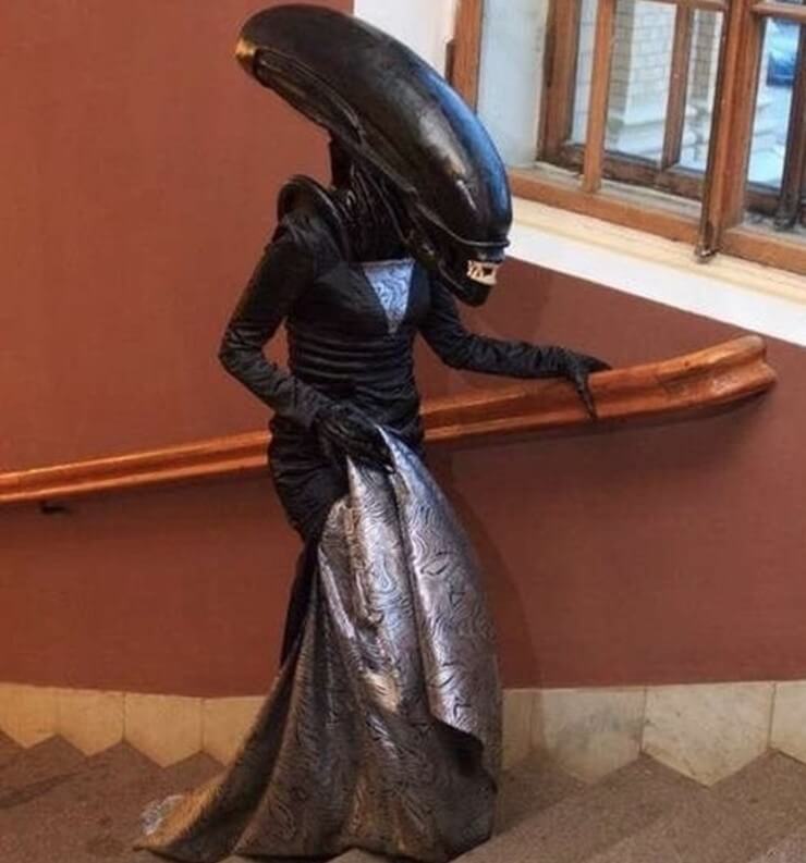 Fotos de formatura bizarras da Internet