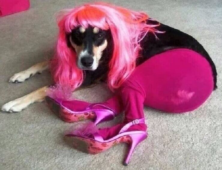 Fotos bizarras de crianças sapecas