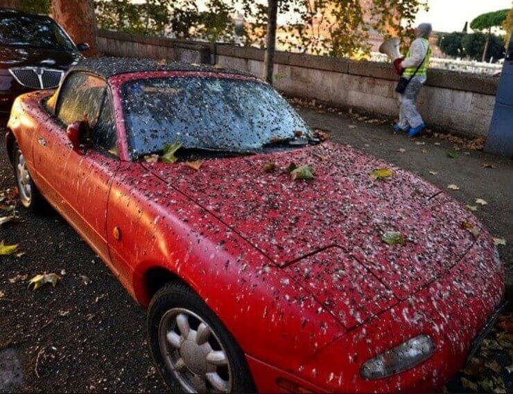 20 situações insanas de quem já acordou com o pé esquerdo Pessoas azaradas em situações insanas