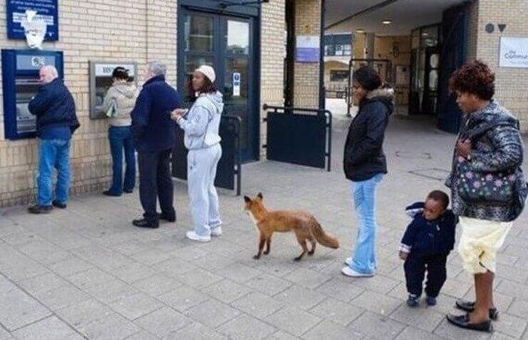 Quando algo de errado não está certo