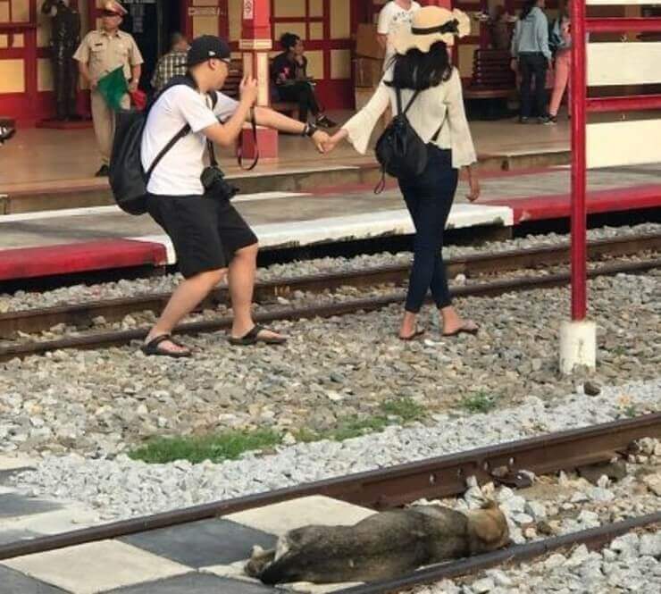 20 fotos que mostram como é a vida de quem tem namorada A vida de quem tem namorada retratada em imagens