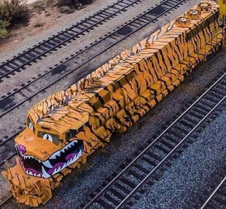 Imagens da internet estranhas e sem noção