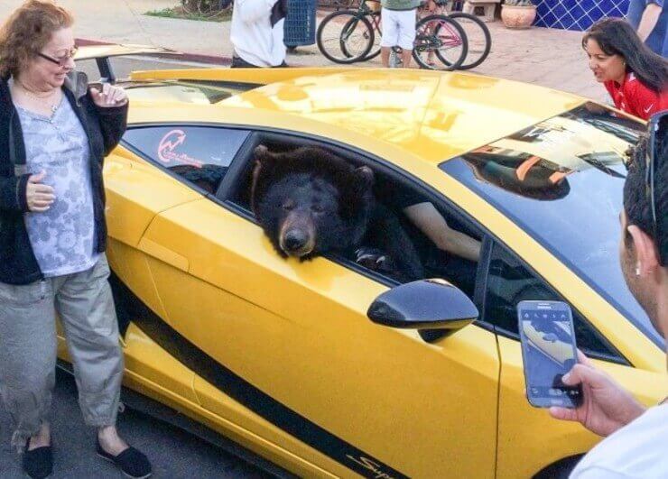 As situações engraçadas mais inusitadas do dia a dia