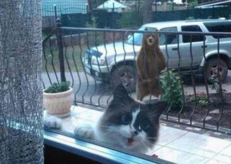 As situações engraçadas mais inusitadas do dia a dia