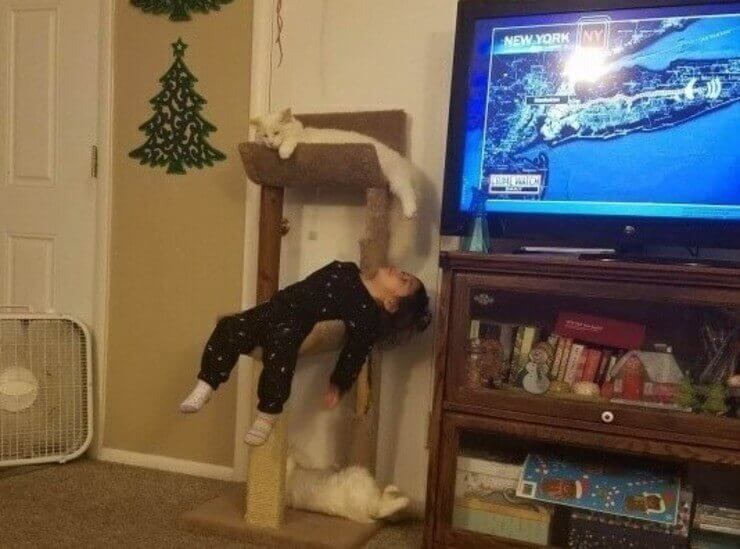 As situações engraçadas mais inusitadas do dia a dia