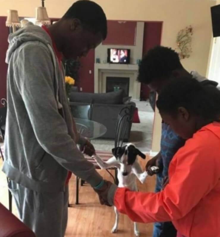 As situações engraçadas mais inusitadas do dia a dia