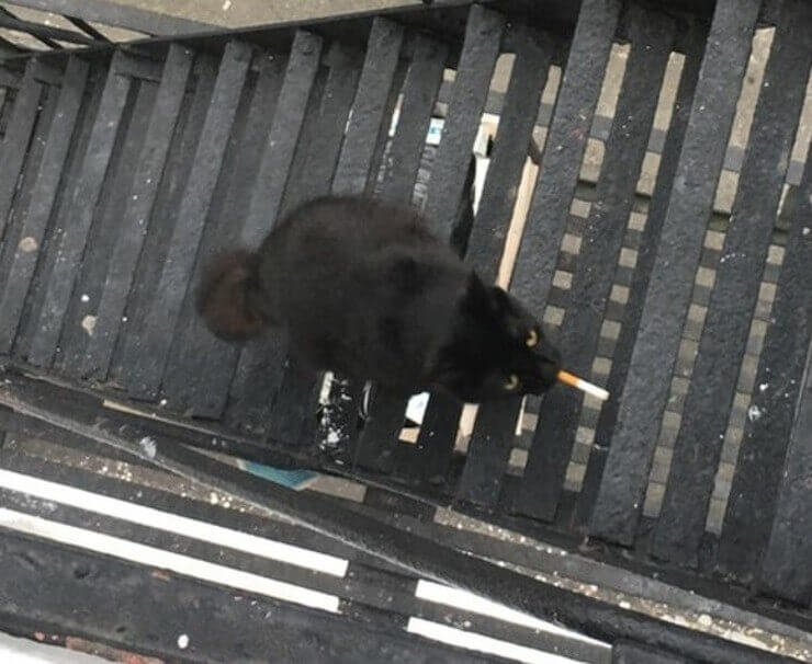 20 fotos mostrando que a zoeira pode acontecer em qualquer lugar Imagens inusitadas da zoeira das redes sociais