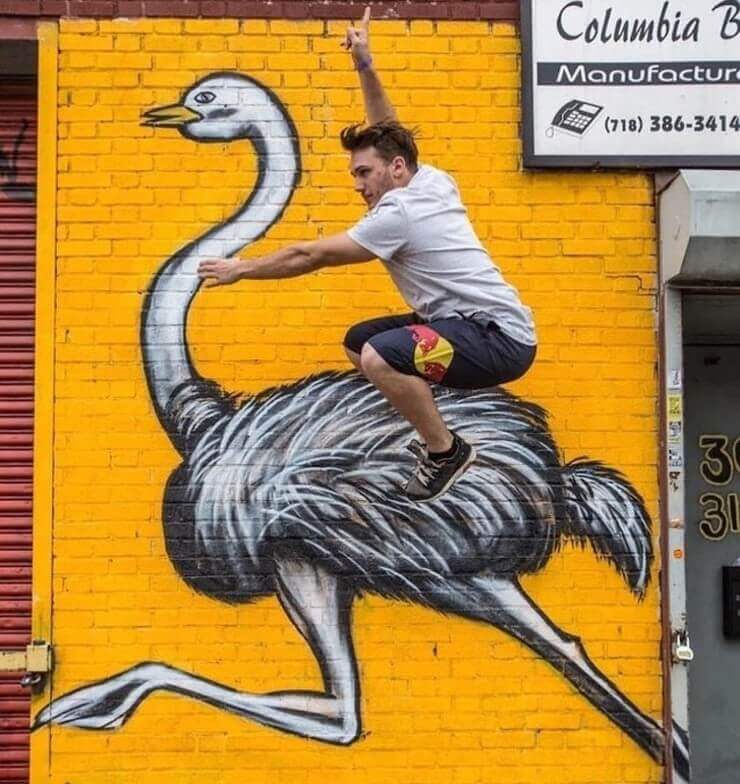 20 fotos mostrando que a zoeira pode acontecer em qualquer lugar Imagens inusitadas da zoeira das redes sociais