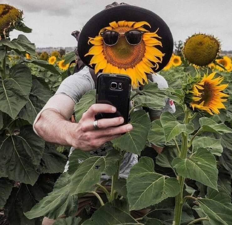 20 fotos mostrando que a zoeira pode acontecer em qualquer lugar Imagens inusitadas da zoeira das redes sociais