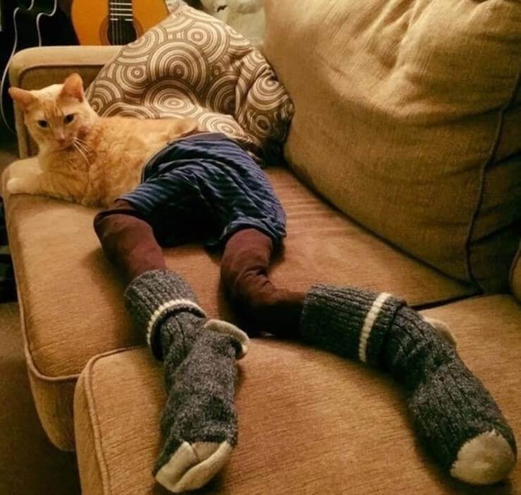 20 fotos mostrando que a zoeira pode acontecer em qualquer lugar Imagens inusitadas da zoeira das redes sociais