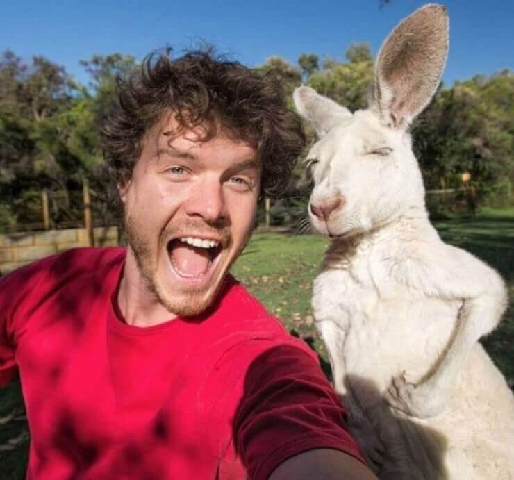 20 fotos mostrando que a zoeira pode acontecer em qualquer lugar Imagens inusitadas da zoeira das redes sociais