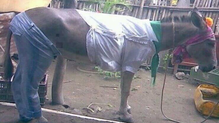 20 pessoas que poderiam dar aula de como ser um imbecil supremo Pessoas especialistas em como ser um imbecil