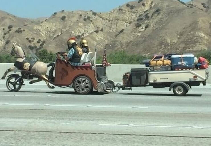 20 pessoas que poderiam dar aula de como ser um imbecil supremo Pessoas especialistas em como ser um imbecil