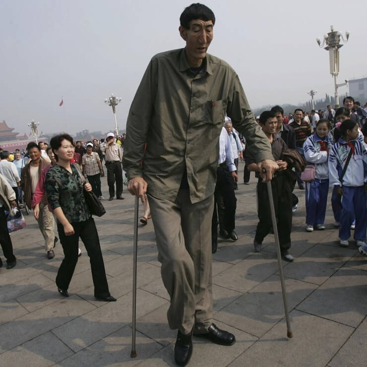 10 gigantes da vida real que você vai duvidar que existem de verdade Gigantes da vida real que existem de verdade