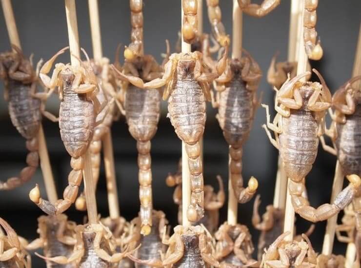 Coisas malucas que só acontecem no Japão