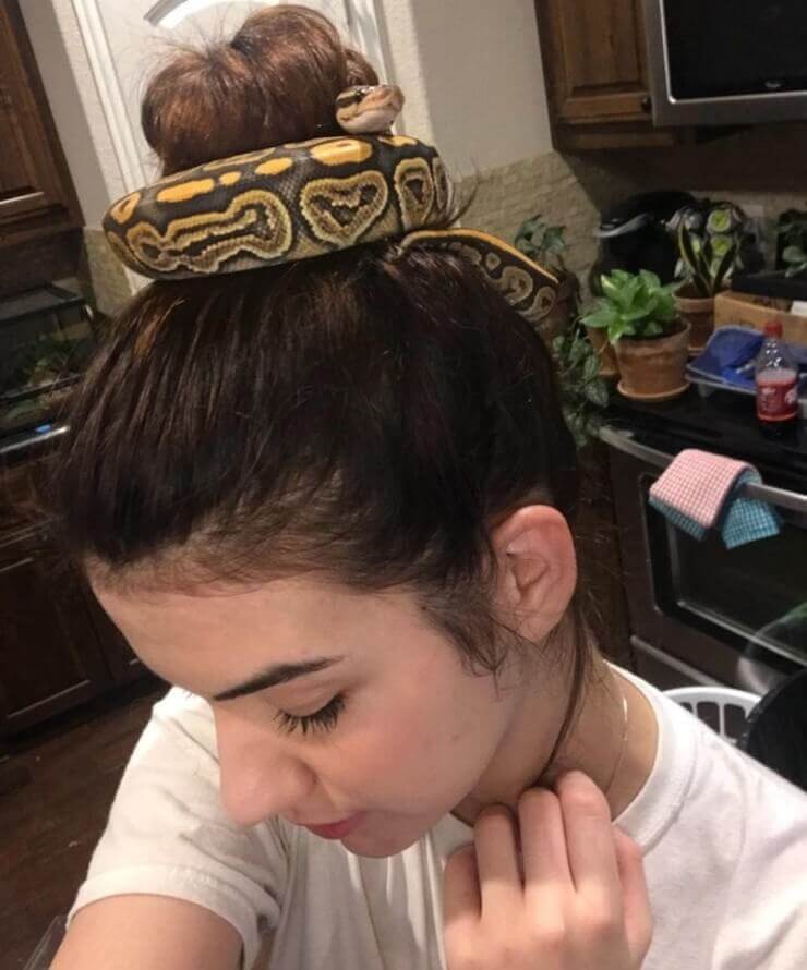 Fotos bizarras de pessoas sem juízo