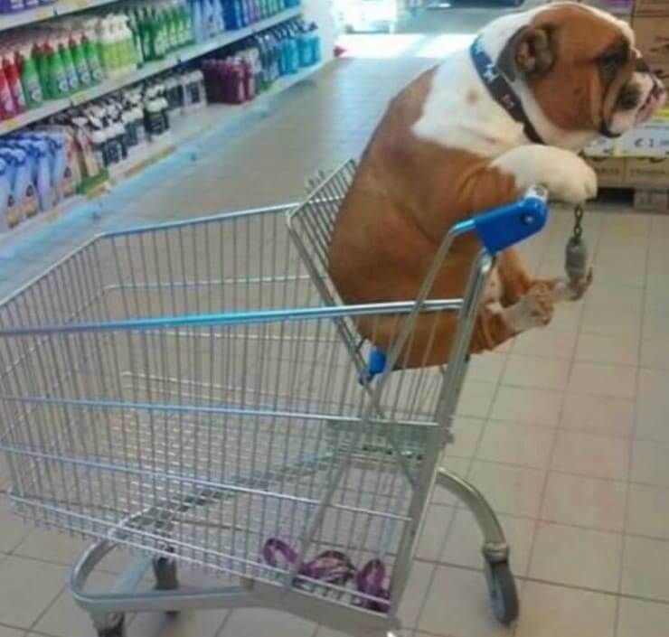 20 coisas que você só vê em lugares que funcionam 24 horas por dia Fotos esquisitas de coisas que você só vê acontecer em supermercados