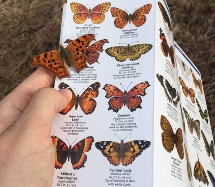 As imagens bizarras com coincidências engraçadas