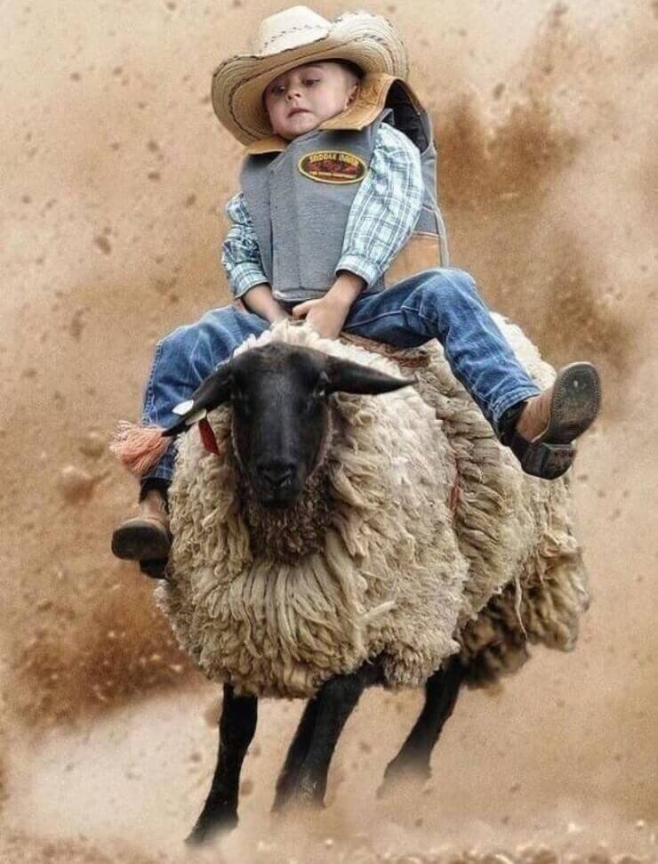 Imagens da internet que ninguém consegue entender