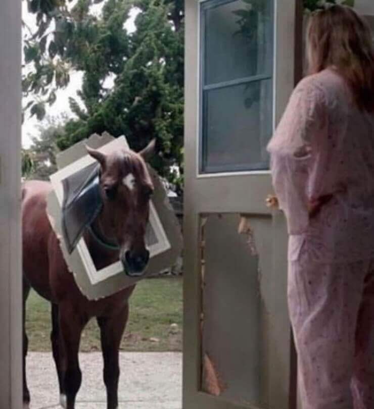 Fotos engraçadas tiradas no momento em que algo não deu certo