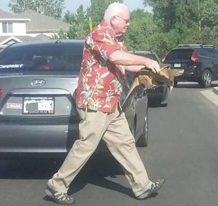 Imagens emocionantes que vão restaurar a sua esperança na humanidade