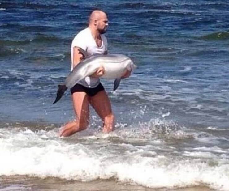 Imagens emocionantes que vão restaurar a sua esperança na humanidade