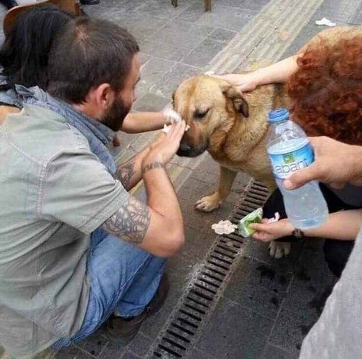 Imagens emocionantes que vão restaurar a sua esperança na humanidade