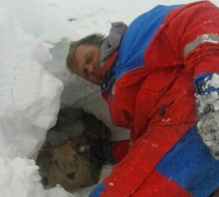 Imagens emocionantes que vão restaurar a sua esperança na humanidade