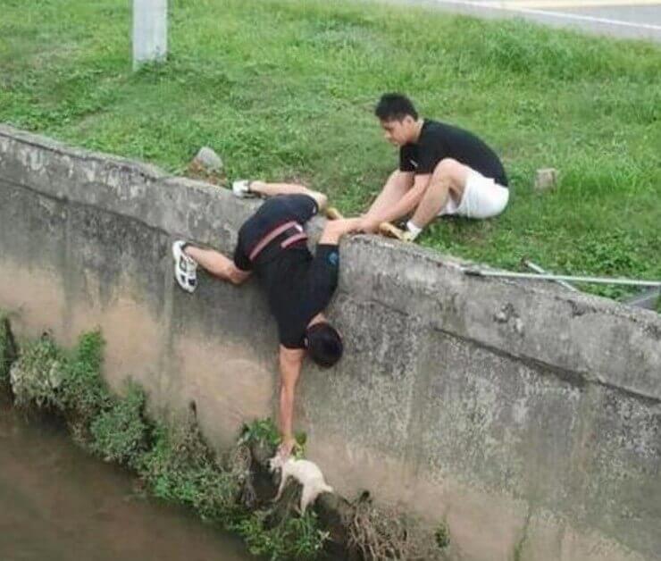 Imagens emocionantes que vão restaurar a sua esperança na humanidade