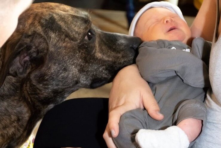 20 imagens de animais que vão ajudar a acabar com aquele mau humor Imagens de animais engraçados da Internet